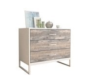 ����� �����-3.1