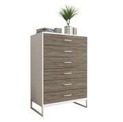 ����� �����-6.1