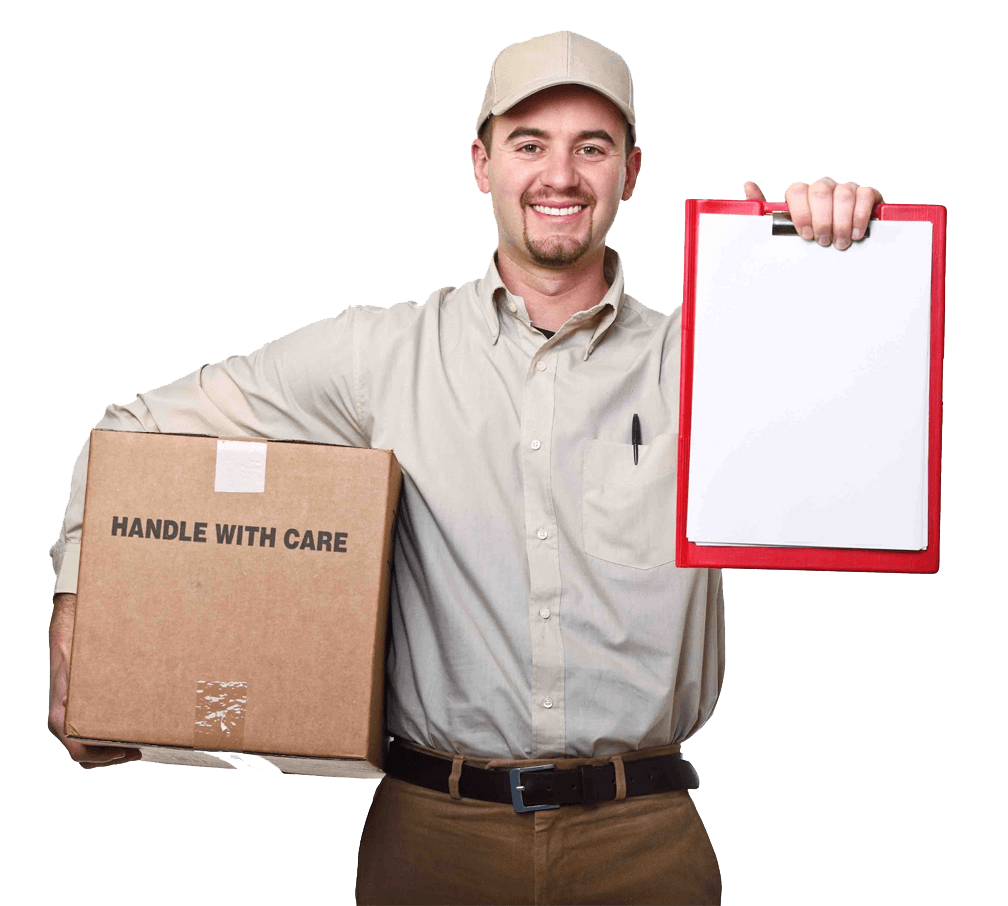 ������ ������ ���������