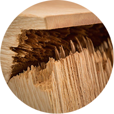 ���������� �� ������